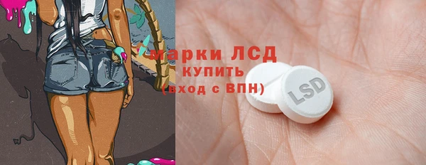 молекула духа Вяземский