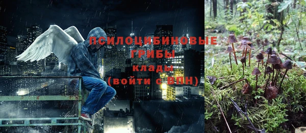 apvp Горнозаводск