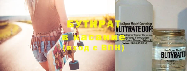 молекула духа Вяземский