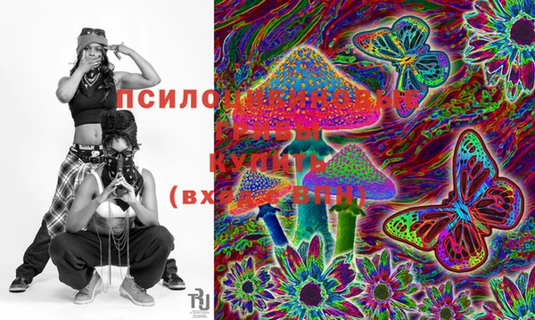 прущая мука Горно-Алтайск